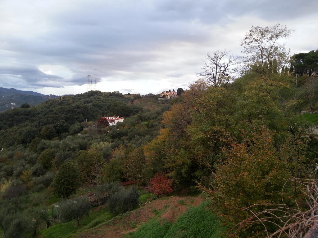 Gli Aceri B&B Arcola Bagian luar foto